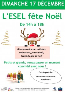 Journée de Noël 2017_Affiche