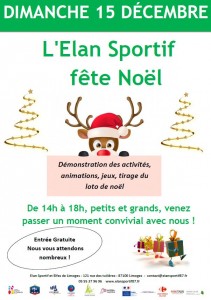 Affiche Journée de Noël